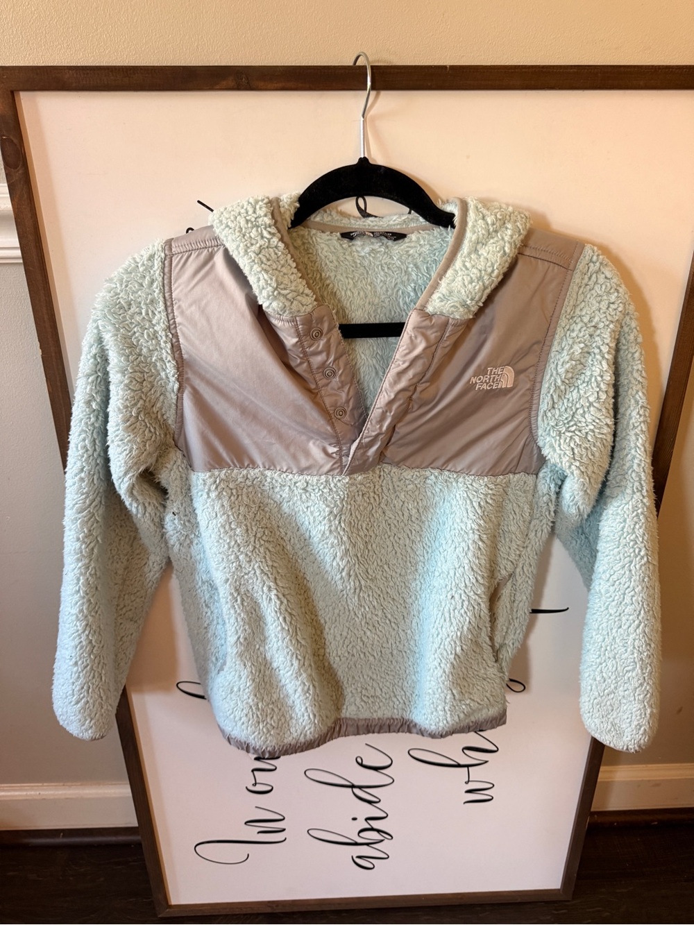 The North Face Kids Sherpa Pullover Jacket in Light Mint and Taupe